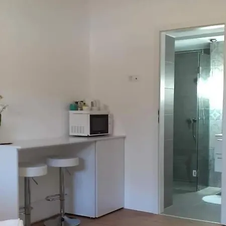 Panziozoenik Lejlighed *